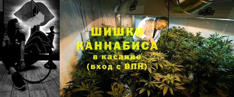 Конопля White Widow  где найти   Купино 